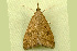  ( - RWWA-1267)  @12 [ ] CreativeCommons - Attribution (2009) Unspecified Centre for Biodiversity Genomics
