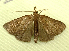  ( - RWWA-1290)  @13 [ ] CreativeCommons - Attribution (2009) Unspecified Centre for Biodiversity Genomics