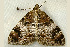  ( - RWWA-1312)  @13 [ ] CreativeCommons - Attribution (2009) Unspecified Centre for Biodiversity Genomics