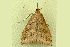  ( - RWWA-1326)  @12 [ ] CreativeCommons - Attribution (2009) Unspecified Centre for Biodiversity Genomics