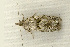  ( - RWWA-1341)  @12 [ ] CreativeCommons - Attribution (2009) Unspecified Centre for Biodiversity Genomics