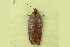  ( - RWWA-1413)  @12 [ ] CreativeCommons - Attribution (2009) Unspecified Centre for Biodiversity Genomics