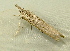  ( - RWWA-1751)  @12 [ ] CreativeCommons - Attribution Non-Commercial Share-Alike (2010) Unspecified Unspecified