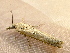  ( - RWWA-1790)  @12 [ ] CreativeCommons - Attribution Non-Commercial Share-Alike (2010) Unspecified Unspecified