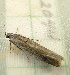  ( - RWWA-1794)  @12 [ ] CreativeCommons - Attribution Non-Commercial Share-Alike (2010) Unspecified Unspecified