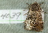  ( - BIOUG07834-G01)  @12 [ ] CreativeCommons - Attribution (2013) CBG Photography Group Centre for Biodiversity Genomics