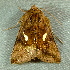  ( - BIOUG09751-B05)  @12 [ ] CreativeCommons - Attribution (2014) CBG Photography Group Centre for Biodiversity Genomics