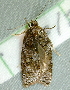  ( - BIOUG09751-E07)  @12 [ ] CreativeCommons - Attribution (2014) CBG Photography Group Centre for Biodiversity Genomics