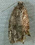  ( - BIOUG09751-F04)  @12 [ ] CreativeCommons - Attribution (2014) CBG Photography Group Centre for Biodiversity Genomics