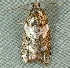  ( - BIOUG09751-F08)  @12 [ ] CreativeCommons - Attribution (2014) CBG Photography Group Centre for Biodiversity Genomics