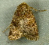  ( - BIOUG17691-A05)  @12 [ ] CreativeCommons - Attribution Non-Commercial Share-Alike (2014) Richard Wilson Unspecified