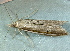  ( - BIOUG17691-D12)  @12 [ ] CreativeCommons - Attribution Non-Commercial Share-Alike (2014) Richard Wilson Unspecified