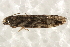  ( - BIOUG17692-B10)  @12 [ ] CreativeCommons - Attribution (2014) CBG Photography Group Centre for Biodiversity Genomics