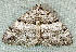  ( - BIOUG17692-F06)  @12 [ ] CreativeCommons - Attribution Non-Commercial Share-Alike (2014) Richard Wilson Unspecified