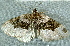  ( - BIOUG17692-F12)  @13 [ ] CreativeCommons - Attribution Non-Commercial Share-Alike (2014) Richard Wilson Unspecified