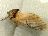  ( - RWWA-2002)  @12 [ ] CreativeCommons - Attribution Non-Commercial Share-Alike (2010) Richard Wilson Unspecified