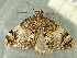  ( - RWWA-2019)  @13 [ ] CreativeCommons - Attribution Non-Commercial Share-Alike (2010) Richard Wilson Unspecified