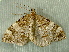  ( - RWWA-2036)  @13 [ ] CreativeCommons - Attribution Non-Commercial Share-Alike (2010) Richard Wilson Unspecified
