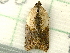  ( - RWWA-2066)  @13 [ ] CreativeCommons - Attribution Non-Commercial Share-Alike (2010) Richard Wilson Unspecified
