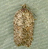  ( - RWWA-2142)  @12 [ ] CreativeCommons - Attribution Non-Commercial Share-Alike (2010) Richard Wilson Unspecified