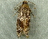  ( - RWWA-2321)  @12 [ ] CreativeCommons - Attribution Non-Commercial Share-Alike (2011) Richard Wilson Unspecified