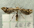  ( - RWWA-2632)  @13 [ ] CreativeCommons - Attribution Non-Commercial Share-Alike (2011) Richard Wilson Unspecified