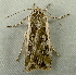 ( - RWWA-2669)  @12 [ ] CreativeCommons - Attribution Non-Commercial Share-Alike (2011) Richard Wilson Unspecified
