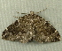  ( - RWWA-2706)  @13 [ ] CreativeCommons - Attribution Non-Commercial Share-Alike (2011) Richard Wilson Unspecified