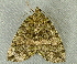  ( - RWWA-3351)  @12 [ ] CreativeCommons - Attribution Non-Commercial Share-Alike (2012) Richard Wilson Unspecified