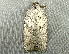  ( - RWWA-3381)  @12 [ ] CreativeCommons - Attribution Non-Commercial Share-Alike (2012) Richard Wilson Unspecified