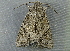  ( - RWWA-3387)  @13 [ ] CreativeCommons - Attribution Non-Commercial Share-Alike (2012) Richard Wilson Unspecified