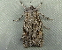  ( - RWWA-3400)  @11 [ ] CreativeCommons - Attribution Non-Commercial Share-Alike (2012) Richard Wilson Unspecified