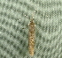  (Coleophora cf. pruniella - RWWA-3560)  @12 [ ] CreativeCommons - Attribution Non-Commercial Share-Alike (2012) Richard Wilson Unspecified