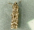 ( - RWWA-3728)  @12 [ ] CreativeCommons - Attribution Non-Commercial Share-Alike (2012) Richard Wilson Unspecified