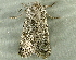  ( - RWWA-3838)  @12 [ ] CreativeCommons - Attribution Non-Commercial Share-Alike (2012) Richard Wilson Unspecified