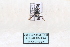  ( - MY174)  @12 [ ] CreativeCommons - Attribution Non-Commercial No Derivatives (2015) SCDBC SCDBC