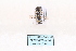  ( - MY289)  @12 [ ] CreativeCommons - Attribution Non-Commercial No Derivatives (2015) SCDBC SCDBC