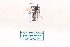  ( - MY484)  @12 [ ] CreativeCommons - Attribution Non-Commercial No Derivatives (2015) SCDBC SCDBC