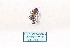  ( - MY486)  @12 [ ] CreativeCommons - Attribution Non-Commercial No Derivatives (2015) SCDBC SCDBC