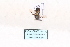  ( - MY488)  @12 [ ] CreativeCommons - Attribution Non-Commercial No Derivatives (2015) SCDBC SCDBC