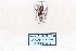  ( - MY493)  @12 [ ] CreativeCommons - Attribution Non-Commercial No Derivatives (2015) SCDBC SCDBC