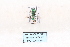  ( - MY498)  @13 [ ] CreativeCommons - Attribution Non-Commercial No Derivatives (2015) SCDBC SCDBC