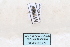  ( - MY297)  @12 [ ] CreativeCommons - Attribution Non-Commercial No Derivatives (2015) SCDBC SCDBC