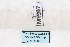  ( - MY527)  @12 [ ] CreativeCommons - Attribution Non-Commercial No Derivatives (2015) SCDBC SCDBC