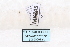  ( - MY445)  @12 [ ] CreativeCommons - Attribution Non-Commercial No Derivatives (2015) SCDBC SCDBC