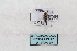  ( - BK334)  @12 [ ] CreativeCommons - Attribution Non-Commercial No Derivatives (2015) SCDBC SCDBC