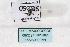  ( - SG260)  @12 [ ] CreativeCommons - Attribution Non-Commercial No Derivatives (2015) SCDBC SCDBC