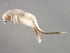  ( - 08PROBE-2056)  @12 [ ] CreativeCommons - Attribution (2008) Unspecified Centre for Biodiversity Genomics