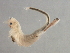  ( - 08PROBE-2063)  @14 [ ] CreativeCommons - Attribution (2008) Unspecified Centre for Biodiversity Genomics