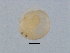  ( - 08PROBE-2088)  @12 [ ] CreativeCommons - Attribution (2008) Unspecified Centre for Biodiversity Genomics